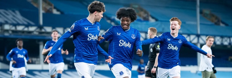 Koszulka Everton